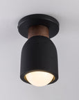 Pompeii Flush Mount Black