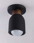 Pompeii Flush Mount Black