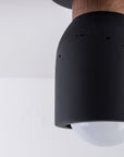 Pompeii Flush Mount Black
