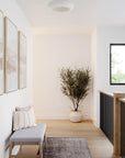 Annie Flush Mount