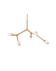 Blossom 5 Light Pendant Brass