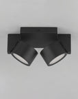Embrace Two Light Led Flush