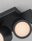Embrace Two Light Led Flush