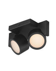 Embrace Two Light Led Flush
