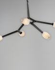 Blossom 5 Light Pendant Black