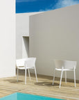 Africa Chair
