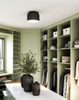Cayne Flush Mount
